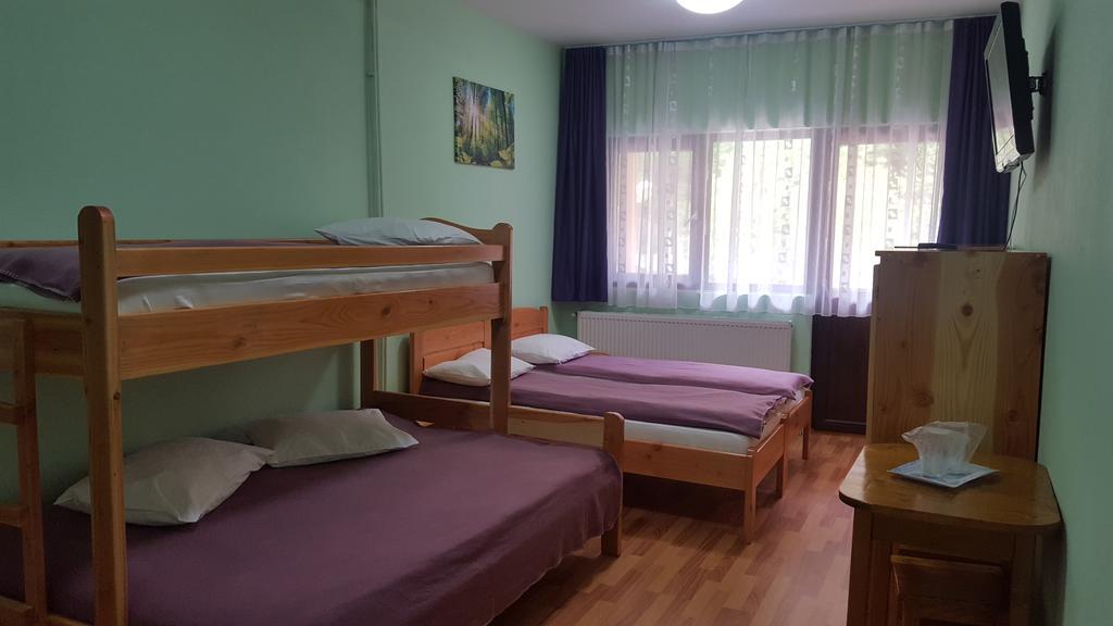 Pensiunea Aurora - Great Hostel Voineasa Exteriér fotografie